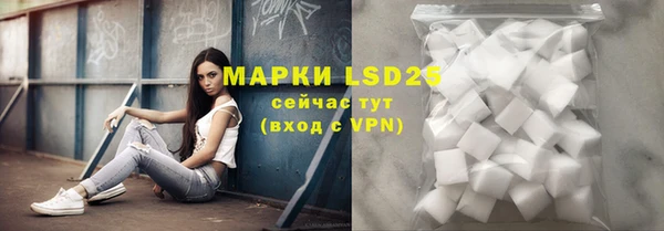 индика Абинск