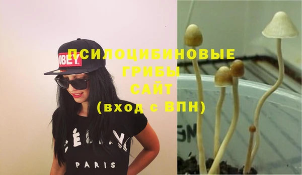 кристаллы Абаза
