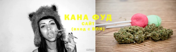 индика Абинск