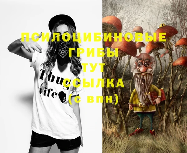 индика Абинск