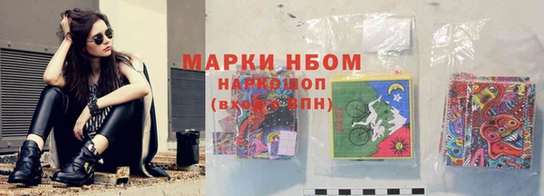 индика Абинск