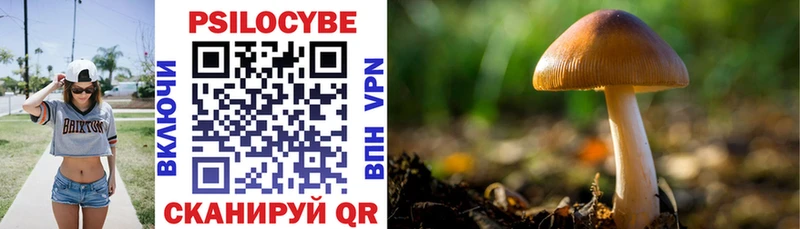 купить   гидра tor  Галлюциногенные грибы Cubensis  Вичуга 